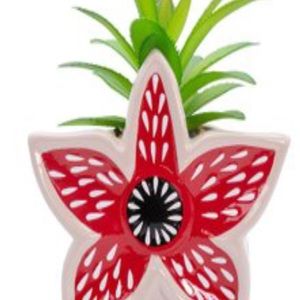 FROM STRANGER THINGS DEMOGORGON SUCCULENT